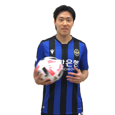 No17 Sticker by Incheon United FC