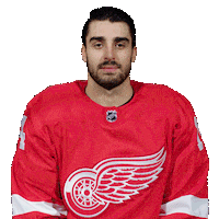 Red Wings Nhl Sticker by Detroit Red Wings