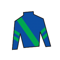 Sport Silk Sticker by Kentucky Derby