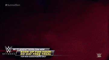 wwe sports wwe wrestling summerslam GIF