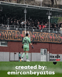 Beşiktaş GIF