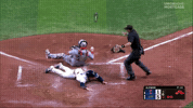Sport Baseball GIF by MLB