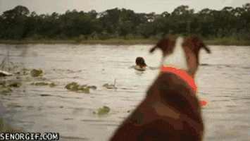 slow motion win GIF by Cheezburger