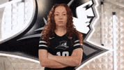 Volleyball Martin GIF by Providence Friars