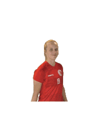 uhcvisperlions lions floorball unihockey wallis Sticker