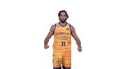 Vamos Liga Endesa Sticker by ACB