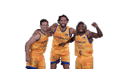 Liga Endesa Basketball Sticker by ACB