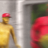 Oh My God Wow GIF by La Guarimba Film Festival