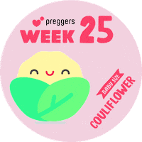 Baby Pregnancy Sticker by Preggers