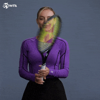 Ana Bogdan Point GIF by WTA