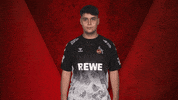 Fifa Vbl GIF by Bundesliga
