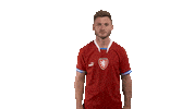 Var Ceskarepre Sticker by 2score