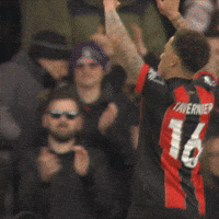 Happy Premier League GIF by AFC Bournemouth