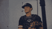Baseball GIF by Purdue Fort Wayne Athletics
