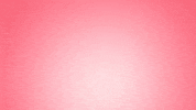 rose love GIF