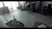 GIF by Harriet