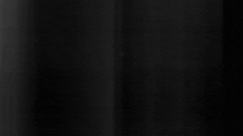 Football Sport GIF by SK Sturm Graz