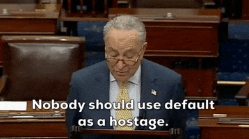 Chuck Schumer Default GIF by GIPHY News