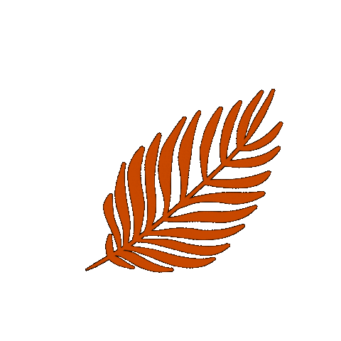 Fall Autumn Sticker by Möbel Höffner