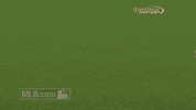 San Francisco Giants GIF by MLB