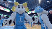 Praising University Of North Carolina GIF by UNC Tar Heels