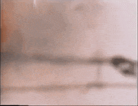 terry funk 90s GIF