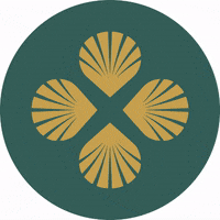 PyhiinvaellusSuomi turku pilgrimage pyhiinvaellus turun tuomiokirkko GIF