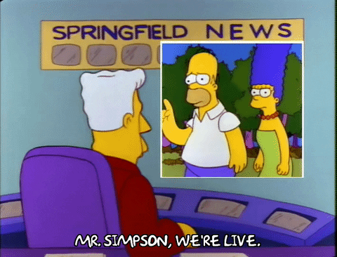 Season 3 Interview GIF by The Simpsons