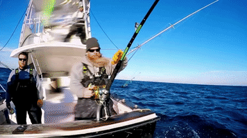 GIF by National Geographic Channel
