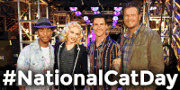 taylor swift cat GIF by The Voice