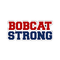 byramhillsbobcats gobobcats go bobcats byram hills byram hills bobcats Sticker