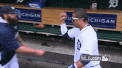 det GIF by MLB