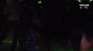 viceland GIF by Big Night Out