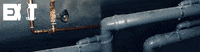 exitgameofficial  GIF
