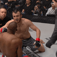 pflmma mma espn pfl pflmma GIF