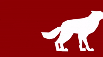 North Carolina Wolves GIF by NC State DASA