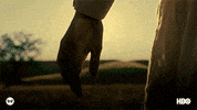 season 2 glitch GIF by Westworld HBO