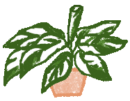 Plants Prayer Plant Sticker