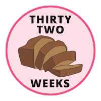 Pregnancy Baby Size Sticker by Bump Boxes