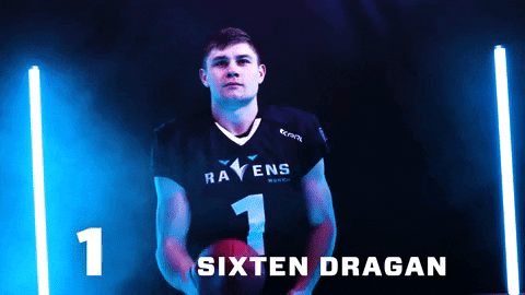 MunichRavens giphyupload football munich ravens GIF
