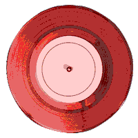 gabrielaorlhiemstore rainbow pride disco vinil Sticker