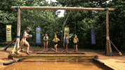 survivorau GIF by Australian Survivor