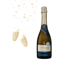 Bottle Of Wine Drinking Sticker by Kavaklidere Wines