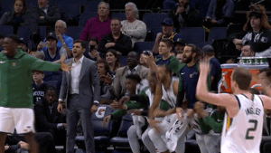 rudy gobert sport GIF by NBA