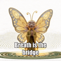 Breath Consciousness GIF by BuddhaFlyJourney