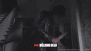 foxnederland  GIF