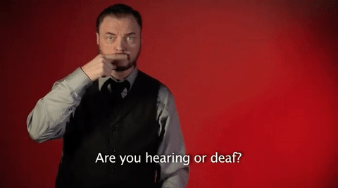 GIF by Sign with Robert
