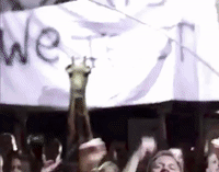 music video rock GIF