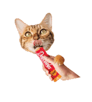 Squeeze Up Cat Tongue Sticker by Delectables Cat Treats