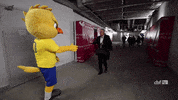 brazilian mascot GIF by Confederação Brasileira de Futebol